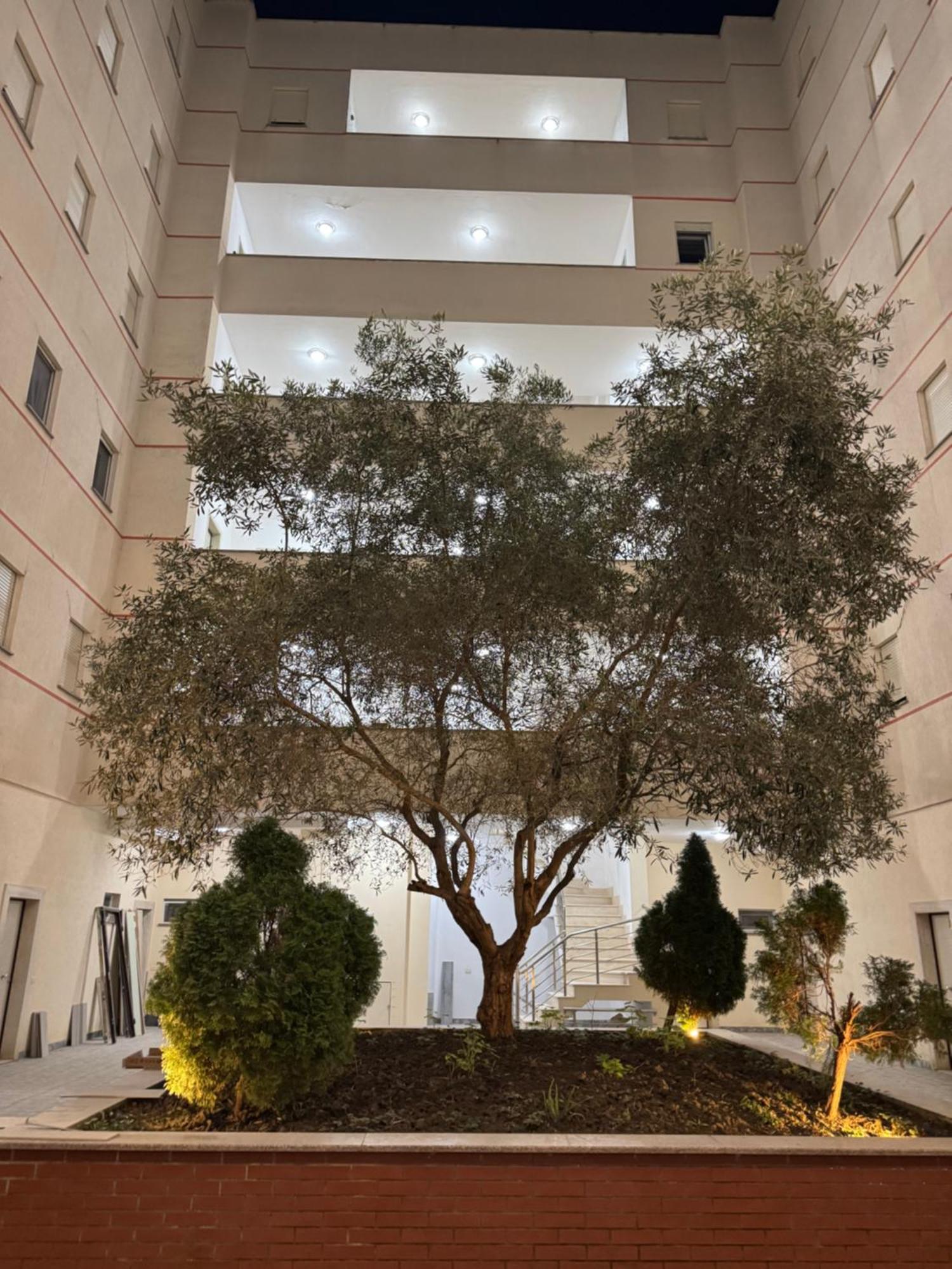 Relax Apartments Golem 格勒姆 外观 照片